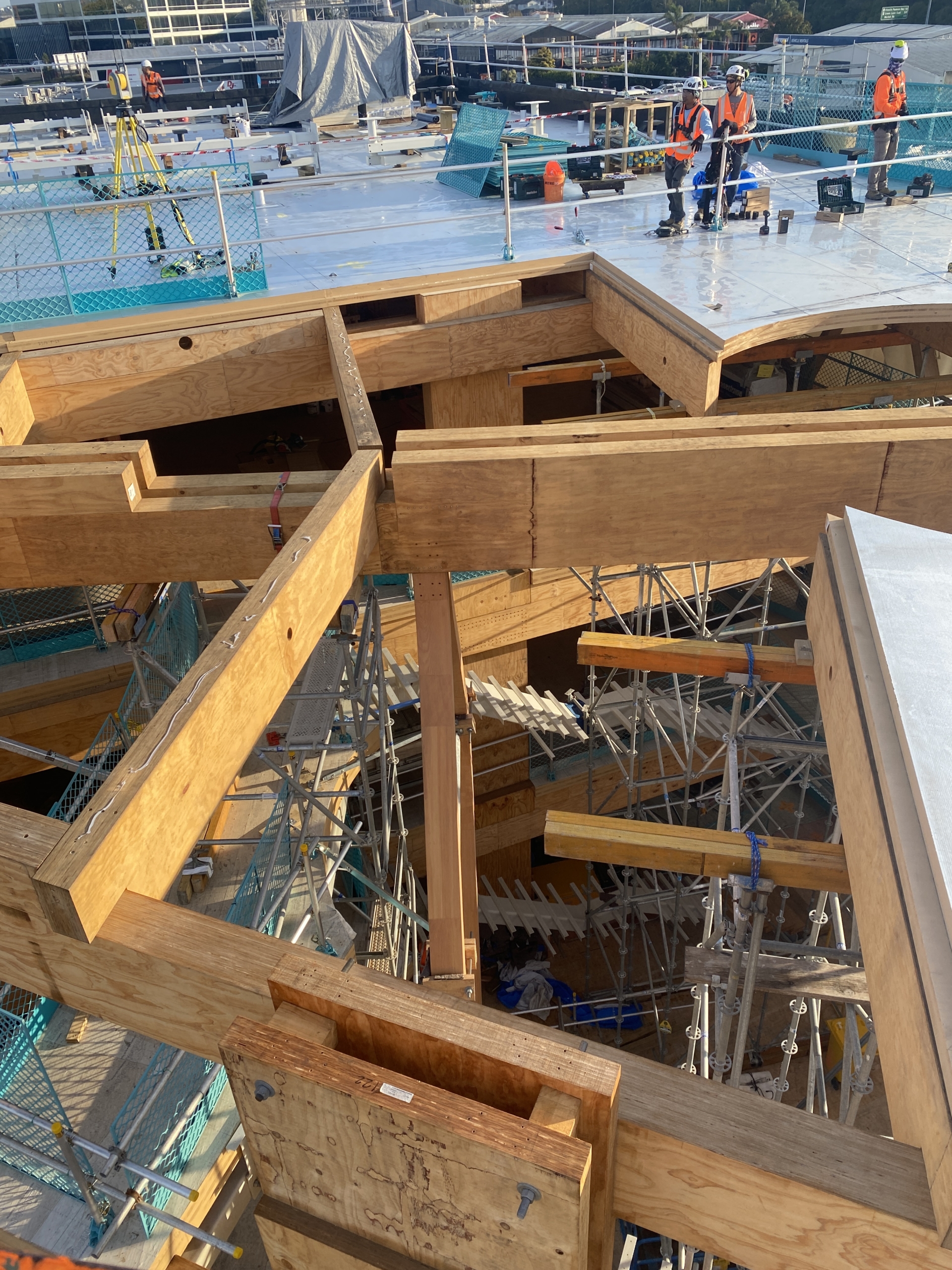 Fisher & Paykel HOME Building . Mass timber construction . Kobe Construction